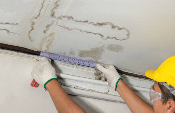 Reliable Flood Cleanup contractor in Meadow, TX by Water Damage Irwin